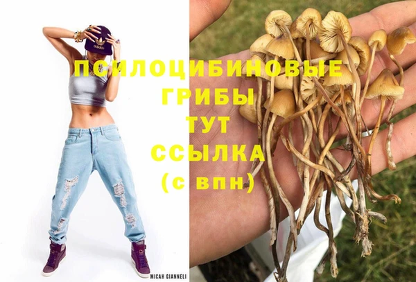 не бодяженный Абаза