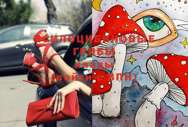 не бодяженный Абаза