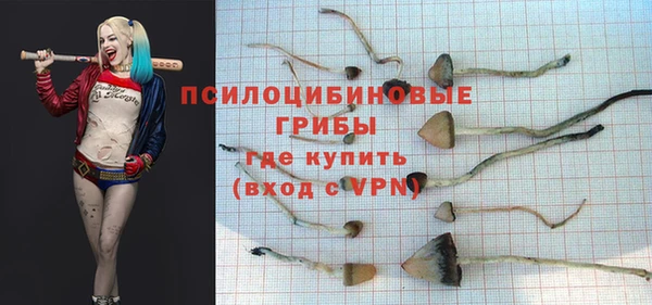 не бодяженный Абаза