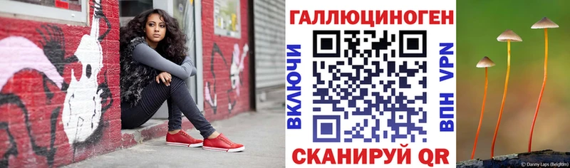 даркнет официальный сайт  закладка  Кяхта  Галлюциногенные грибы Cubensis 